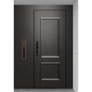 Stainless steel doors