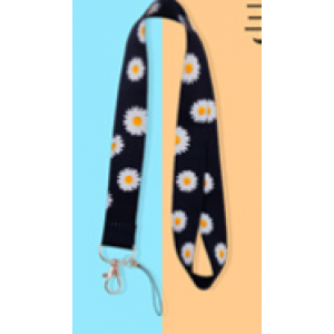 Lanyard