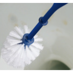Toilet brush