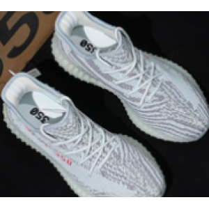 shoe