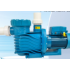 Pool pump