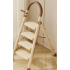 Telescopic ladder