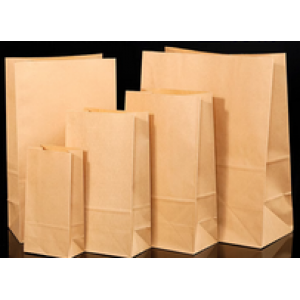 Paper Bag